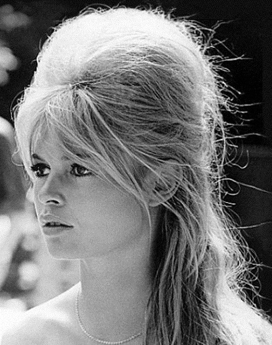 Style Icone Brigitte Bardot Personal Shopper Paris Dress Like