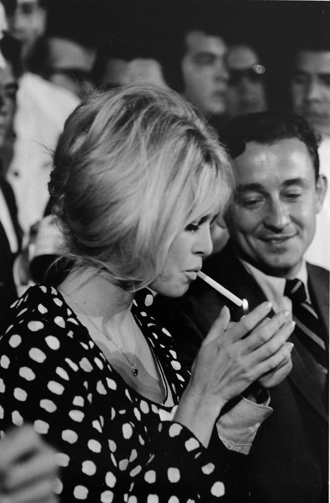 Brigitte Bardot Inspired